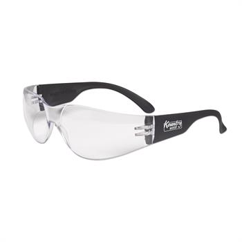 S53248X - Safety Glasses