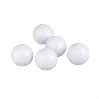 WL1606 - Performance Golf Balls