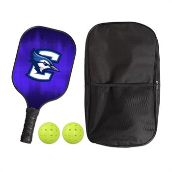 WL1789 - Fiberglass Pickleball Paddle Set